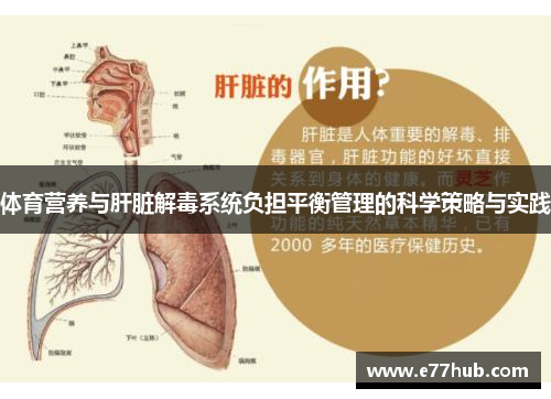 体育营养与肝脏解毒系统负担平衡管理的科学策略与实践